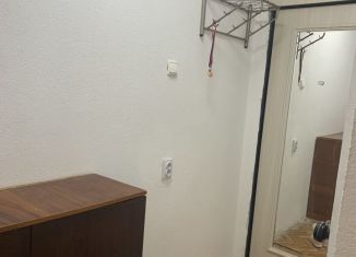 Двухкомнатная квартира в аренду, 45 м2, Саратовская область, улица имени Академика С.Г. Навашина, 14