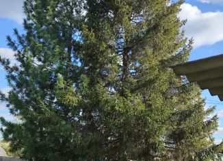 Дом на продажу, 40 м2, деревня Измоденова, улица Чапаева, 23