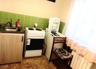 Продаю 1-комнатную квартиру, 28 м2, Новосибирск, Ученическая улица, 2А