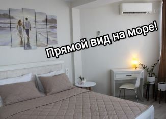 Сдам в аренду 1-комнатную квартиру, 35 м2, Севастополь, улица Челнокова, 19Ак2