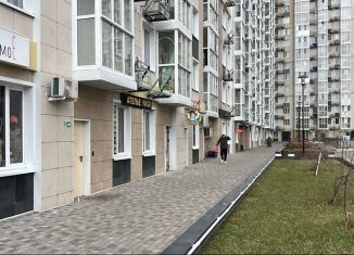 Продам 1-комнатную квартиру, 26 м2, Ростовская область, Стабильная улица, 3с3