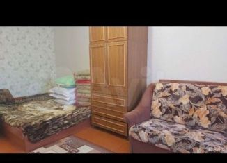 Аренда 2-комнатной квартиры, 48 м2, Ленинградская область, Аптекарский переулок, 11