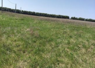 Продажа земельного участка, 12 сот., село Старые Камышлы, Центральная улица