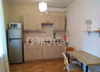 Сдаю в аренду квартиру студию, 25 м2, Санкт-Петербург, проспект Обуховской Обороны, 195, ЖК Дом-Мегалит на Неве