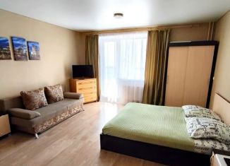 Сдам в аренду квартиру студию, 30 м2, Челябинская область, улица Университетская Набережная, 97А