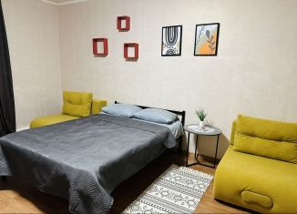 Аренда 1-комнатной квартиры, 49 м2, Пермь, улица Писарева