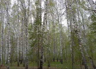 Земельный участок на продажу, 1380 сот., село Каменка