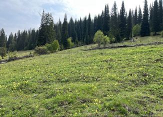 Участок на продажу, 49 сот., село Ассы, улица А. Мубарякова