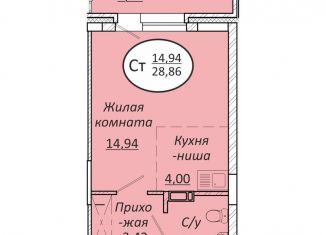Продается квартира студия, 28.9 м2, Новосибирск, метро Золотая Нива