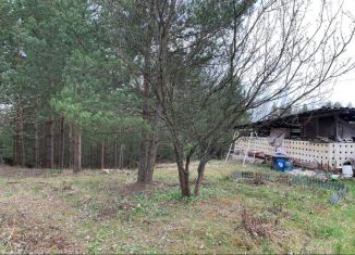 Продается земельный участок, 12 сот., деревня Райки, Центральная улица