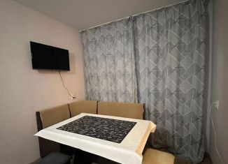 Сдается 2-комнатная квартира, 48 м2, Новосибирск, улица Блюхера, 28, Ленинский район