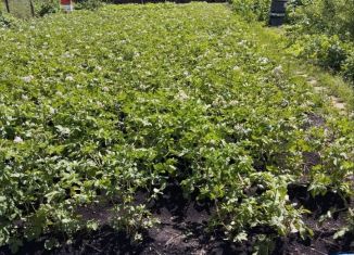 Продается земельный участок, 5 сот., Ишимбай