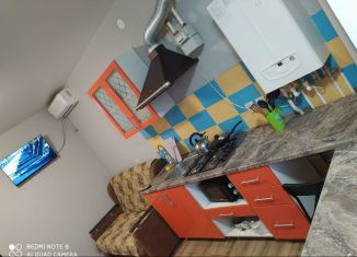 Квартира в аренду студия, 25 м2, Таганрог, улица Чехова, 375