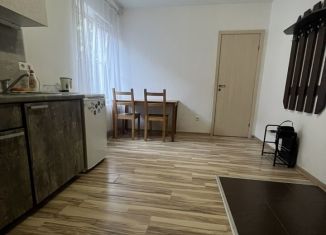 Сдается однокомнатная квартира, 28 м2, Краснодарский край, улица Салтыкова-Щедрина, 9
