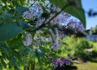 Продажа дачи, 20 м2, территория Максаковское, СНТ Лесопильщик, 51