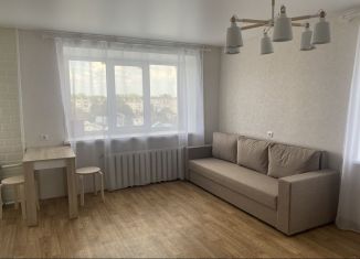 Сдаю в аренду квартиру студию, 33 м2, Бор, улица Ленина, 153