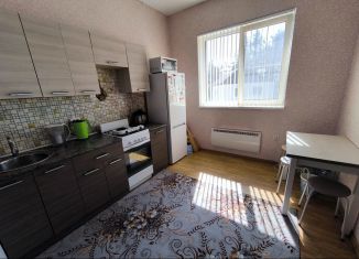 2-комнатная квартира на продажу, 41 м2, Себеж, Новая улица, 59Г