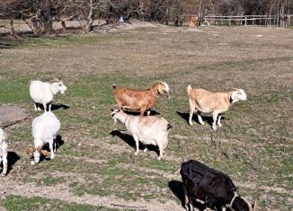 Продается земельный участок, 6.8 сот., село Супсех, улица Вячеслава Карпова