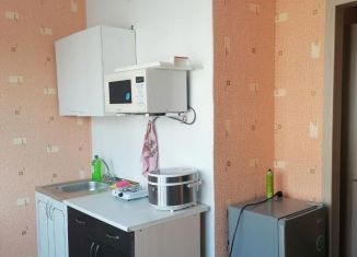 Сдается в аренду квартира студия, 17 м2, Курган, Омская улица, 60, жилой район Северный