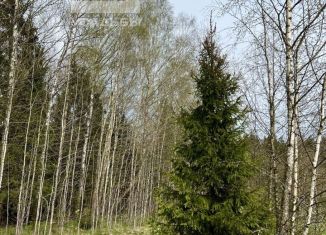 Продается земельный участок, 6 сот., деревня Ширяево