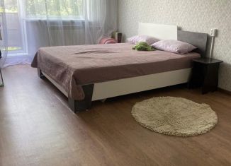 Сдаю в аренду 1-ком. квартиру, 31 м2, Приморский край, улица Гамарника, 22