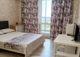 Сдам в аренду квартиру студию, 27 м2, Казань, улица Профессора Камая, 10к4, ЖК Романтика