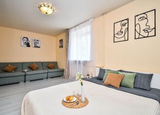 Сдам в аренду 1-ком. квартиру, 38 м2, Красноярск, улица Карла Маркса, 92