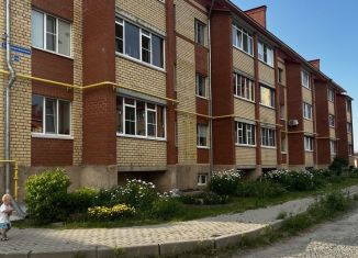 Продажа 2-комнатной квартиры, 50.7 м2, деревня Маурино (Подлесный сельсовет), Архангельская улица, 23А