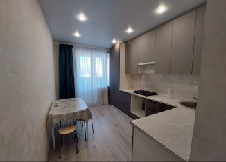 Сдается в аренду однокомнатная квартира, 41 м2, Йошкар-Ола, улица Мира, 51, микрорайон Дубки