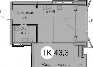 1-ком. квартира на продажу, 43.3 м2, Новосибирская область, Овражная улица, 2А