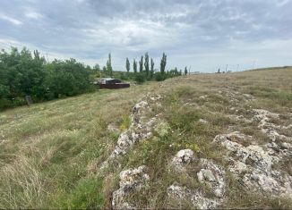 Продажа участка, 10 сот., дачный массив Новозбурьевка