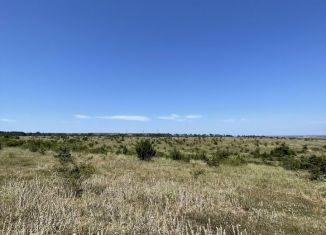 Земельный участок на продажу, 291 сот., село Тенистое, улица Мичурина