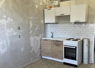 Продажа квартиры студии, 25 м2, рабочий поселок Маркова, микрорайон Берёзовый, 239