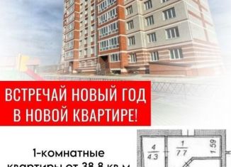 Продается 1-ком. квартира, 39 м2, Свободный, Шатковская улица, 215