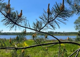 Земельный участок на продажу, 6.8 сот., деревня Поддубье