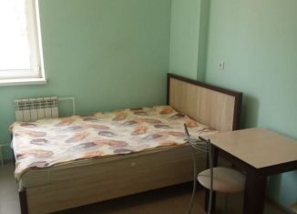 Аренда комнаты, 15 м2, деревня Дудкино, СНТ Дудкино, 12