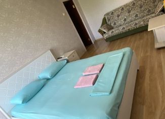 Сдам 1-комнатную квартиру, 55 м2, Ставропольский край, улица Ленина, 110