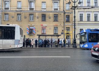 Сдача в аренду помещения свободного назначения, 1 м2, Санкт-Петербург, Невский проспект, 175, метро Площадь Александра Невского-2