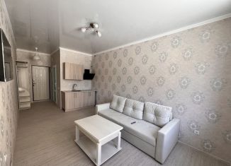 Квартира на продажу студия, 21 м2, Краснодарский край, улица Фрунзе, 37