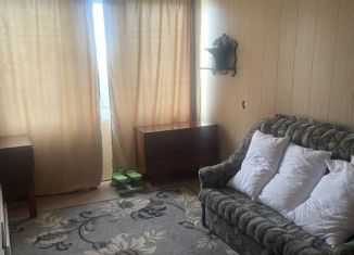 Однокомнатная квартира в аренду, 32 м2, Кингисепп, Крикковское шоссе, 6