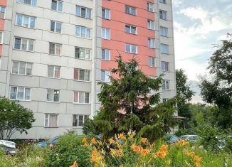 Аренда 1-ком. квартиры, 43 м2, Санкт-Петербург, улица Лётчика Пилютова, 50к1, муниципальный округ Константиновское