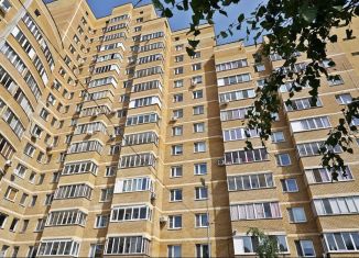 Сдается 1-ком. квартира, 43.6 м2, Казань, улица Симонова