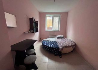 Комната в аренду, 20 м2, деревня Дудкино, СНТ Дудкино, 12