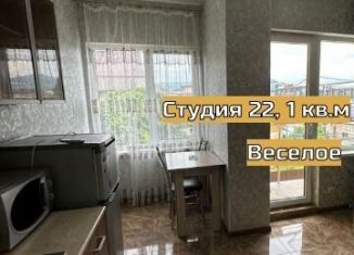 Продажа квартиры студии, 26 м2, село Весёлое, улица Мира, 133