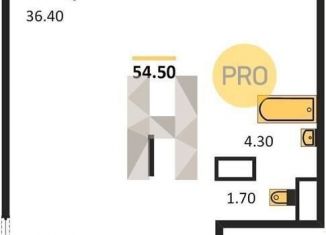 Продам квартиру свободная планировка, 54.5 м2, Воронеж, Центральный район, улица Шишкова, 140Б/17