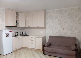 Сдаю квартиру студию, 29 м2, Тюмень, улица Михаила Сперанского, 41, ЖК Видный