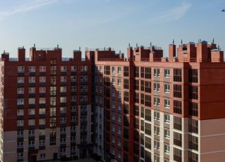 Продаю квартиру студию, 24.4 м2, Тула, ЖК Кулик