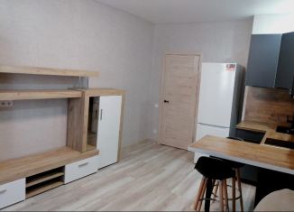 Продам квартиру студию, 24 м2, деревня Столбово, проспект Куприна, 38к1