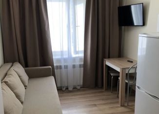 Сдача в аренду квартиры студии, 18 м2, деревня Путилково, Спасо-Тушинский бульвар, 8