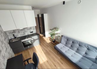 Сдается в аренду квартира студия, 35 м2, Иркутск, улица Лермонтова, 31